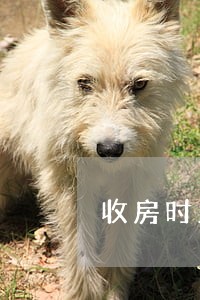 收房时业主需了解的相关法规文件 收房时业主需了解的相关法规文件