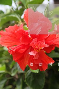 收房时间多少天后算逾期 收房时间多少天后算逾期