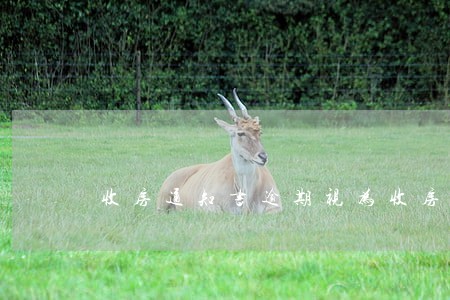 收房通知书逾期视为收房 收房通知书逾期视为收房