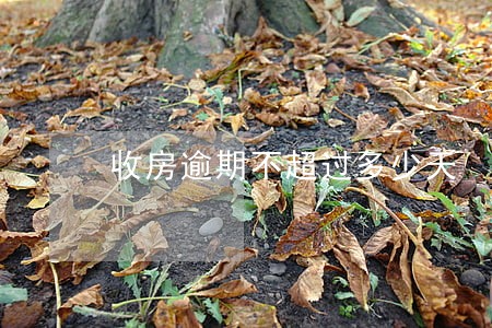 收房逾期不超过多少天 收房逾期不超过多少天