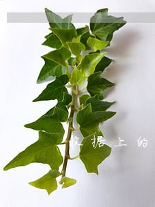 收据上的名字承担法律 收据上的名字承担法律