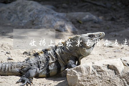 收据上盖发票专用章违法吗 收据上盖发票专用章违法吗