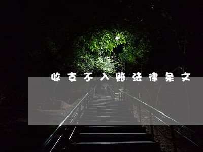 收支不入账法律条文