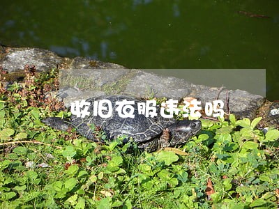 收旧衣服违法吗 收旧衣服违法吗