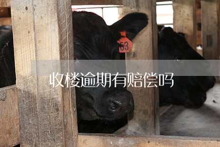 收楼逾期有赔偿吗 收楼逾期有赔偿吗