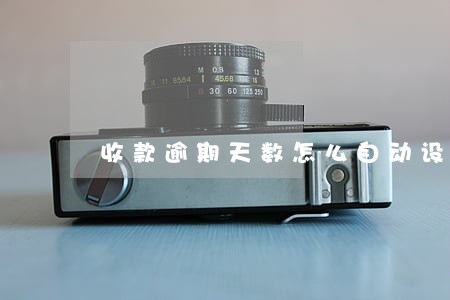收款逾期天数怎么自动设置 收款逾期天数怎么自动设置