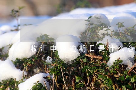 收汇申报逾期日是什么意思 收汇申报逾期日是什么意思