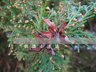 收渣土违法 收渣土违法
