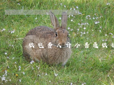 收电费人开个普通收据违法吗 收电费人开个普通收据违法吗