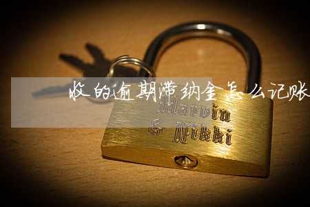 收的逾期滞纳金怎么记账 收的逾期滞纳金怎么记账