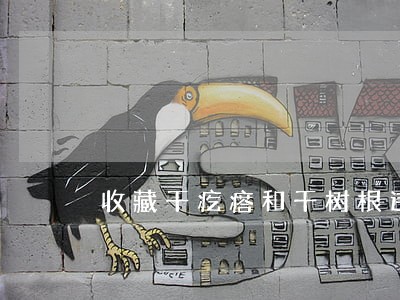 收藏干疙瘩和干树根违法吗 收藏干疙瘩和干树根违法吗