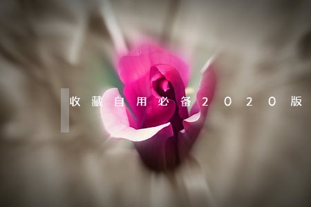 收藏自用必备2020版民法典 收藏自用必备2020版民法典