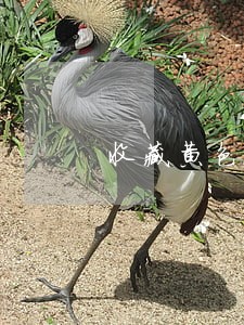 收藏黄色视频违法吗 收藏黄色视频违法吗