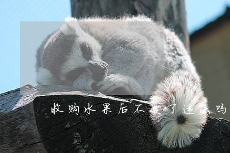 收购水果后不要了违法吗 收购水果后不要了违法吗