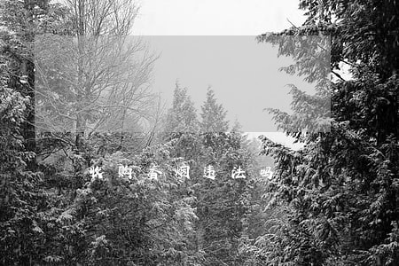 收购香烟违法吗 收购香烟违法吗