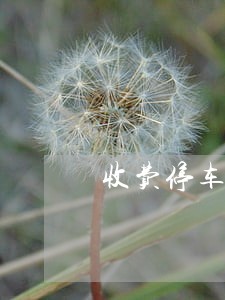 收费停车场逾期怎么算违约金 收费停车场逾期怎么算违约金