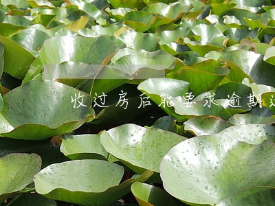 收过房后能要求逾期违约金吗 收过房后能要求逾期违约金吗
