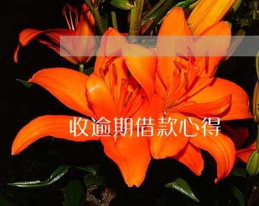 收逾期借款心得