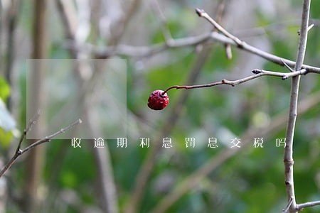 收逾期利息罚息交税吗 收逾期利息罚息交税吗