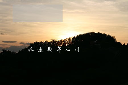 收逾期车公司 收逾期车公司