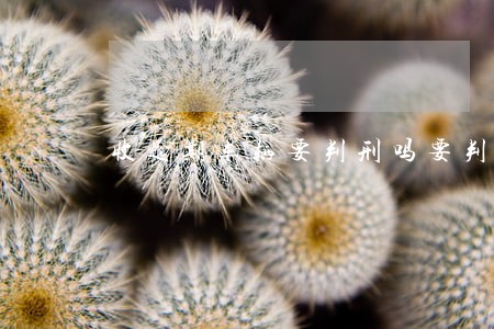 收逾期车辆要判刑吗要判几年 收逾期车辆要判刑吗要判几年