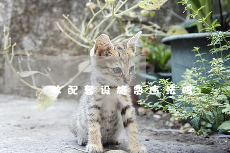 收配套设施费违法吗 收配套设施费违法吗