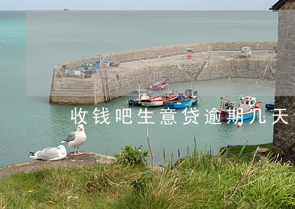收钱吧生意贷逾期几天会怎样 收钱吧生意贷逾期几天会怎样