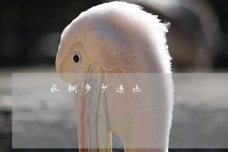 收铜多少违法 收铜多少违法