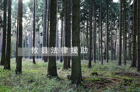 攸县法律援助 攸县法律援助