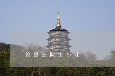 攸县法院王小江 攸县法院王小江