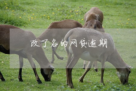 改了名的网贷逾期 改了名的网贷逾期