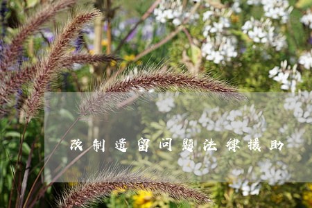 改制遗留问题法律援助