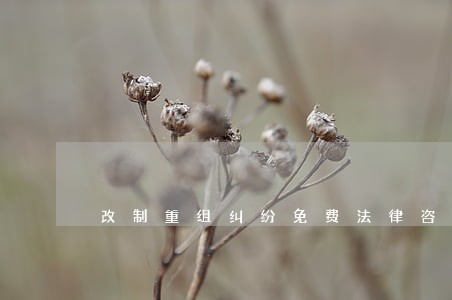改制重组纠纷免费法律咨询 改制重组纠纷免费法律咨询