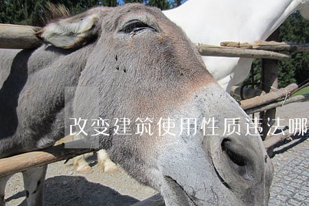 改变建筑使用性质违法哪个法条 改变建筑使用性质违法哪个法条