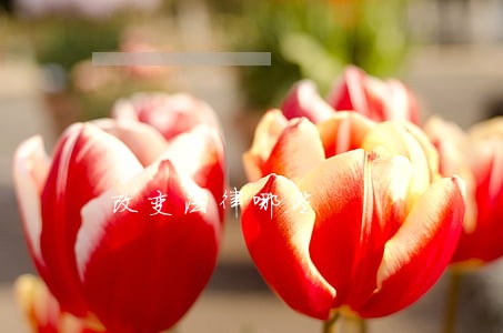 改变法律哪些 改变法律哪些