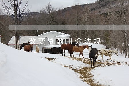 改变贷款用途法规 改变贷款用途法规