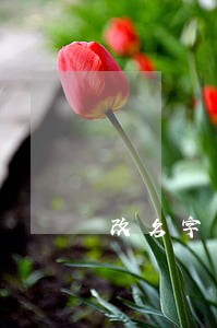 改名字后逾期的不良记录还有吗 改名字后逾期的不良记录还有吗