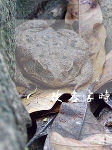 改名字时征信记录有逾期 改名字时征信记录有逾期