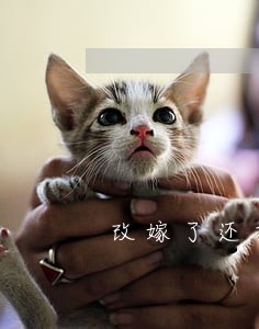 改嫁了还在不停为他申请司法援助 改嫁了还在不停为他申请司法援助