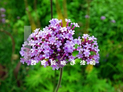 改宽轮胎违法吗 改宽轮胎违法吗