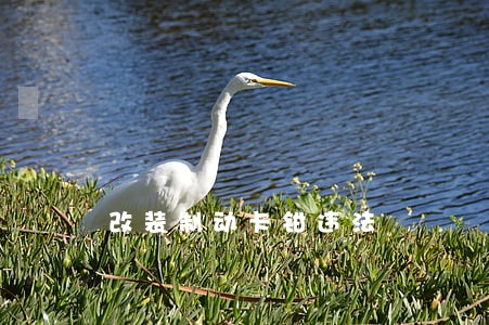 改装制动卡钳违法 改装制动卡钳违法
