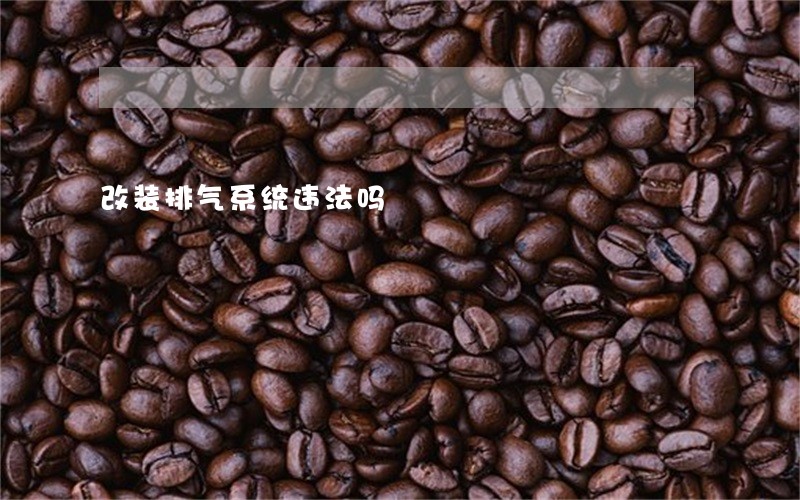 改装排气系统违法吗