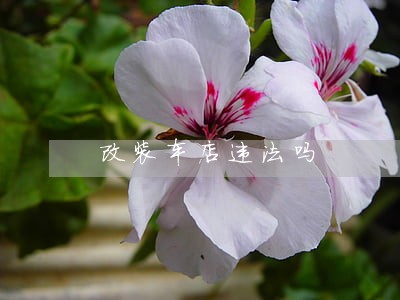 改装车店违法吗 改装车店违法吗