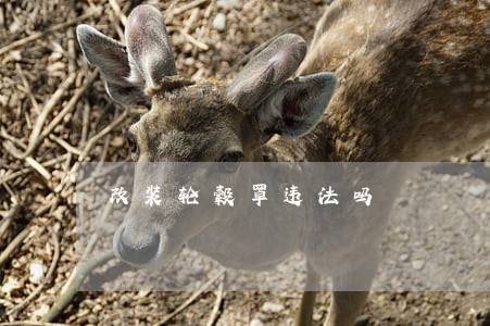 改装轮毂罩违法吗 改装轮毂罩违法吗