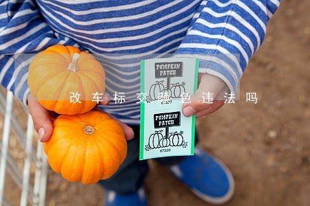 改车标交颜色违法吗 改车标交颜色违法吗