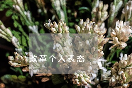 改革个人表态