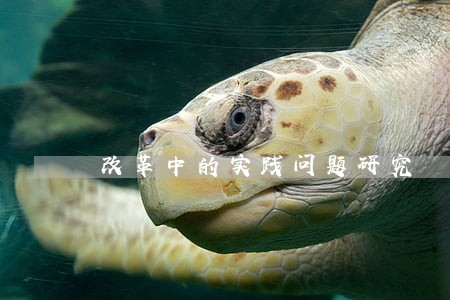 改革中的实践问题研究