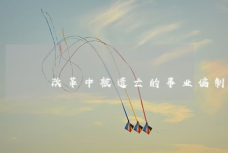 改革中被遗亡的事业偏制 改革中被遗亡的事业偏制