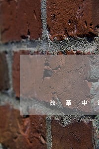 改革中遇到的问题司法 改革中遇到的问题司法