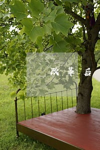 改革后自侦工作 改革后自侦工作